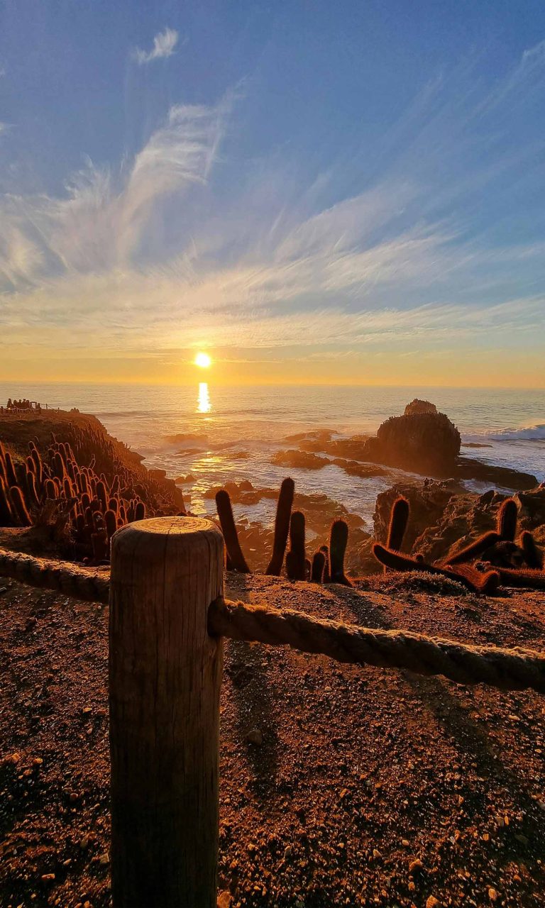 lolaroute-tours-pichilemu-chile