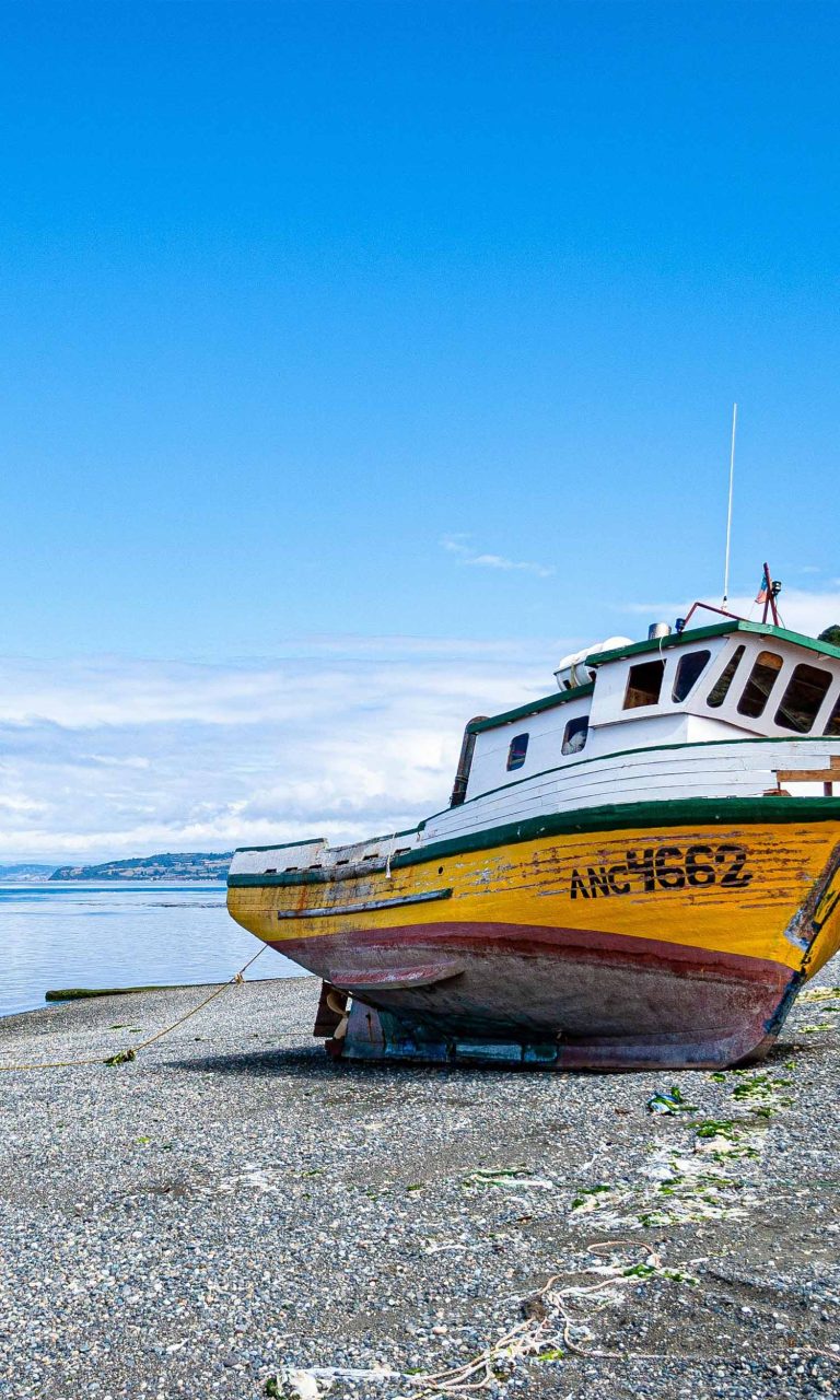 lolaroute-tours-region-los-lagos-chile