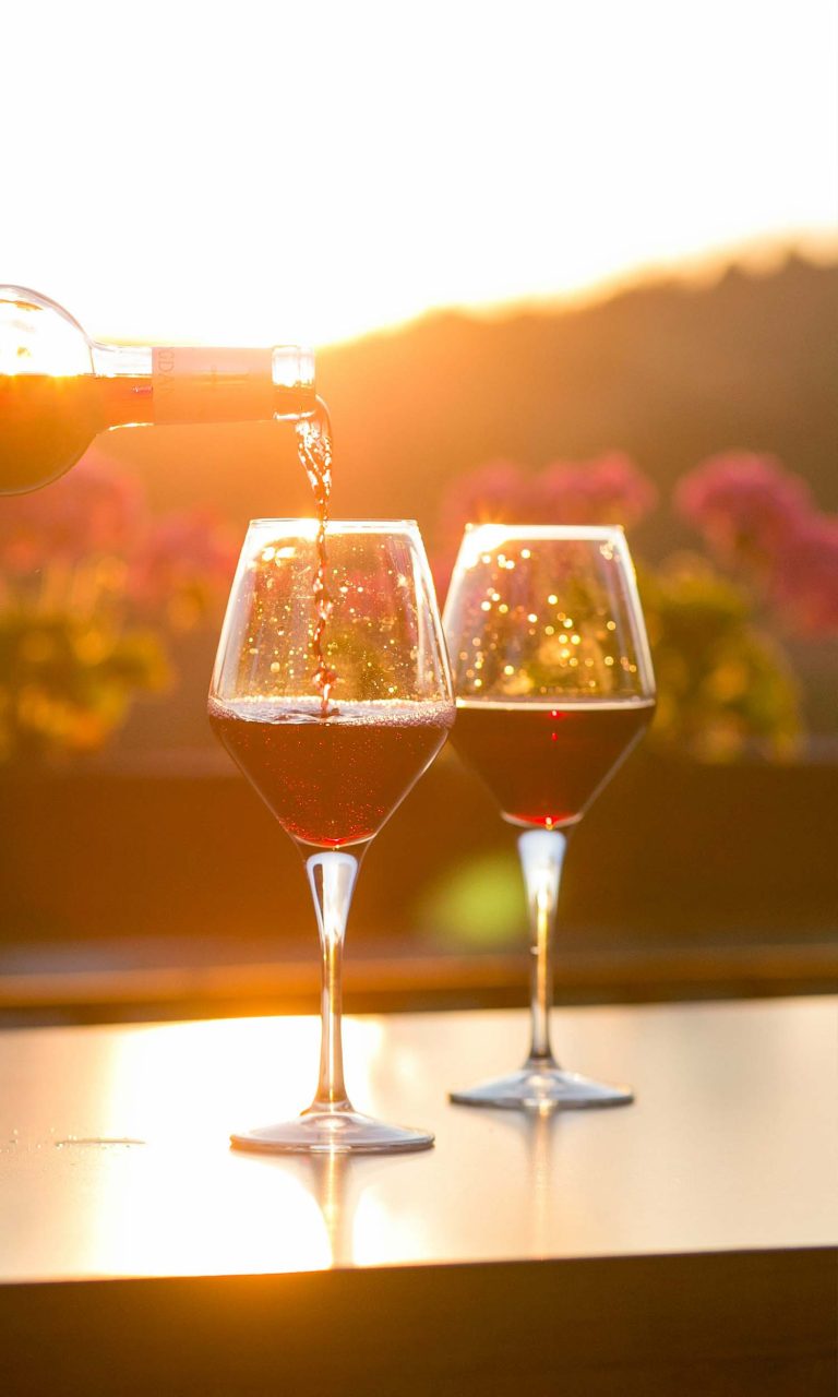 lolaroute-wine-tasting-chile