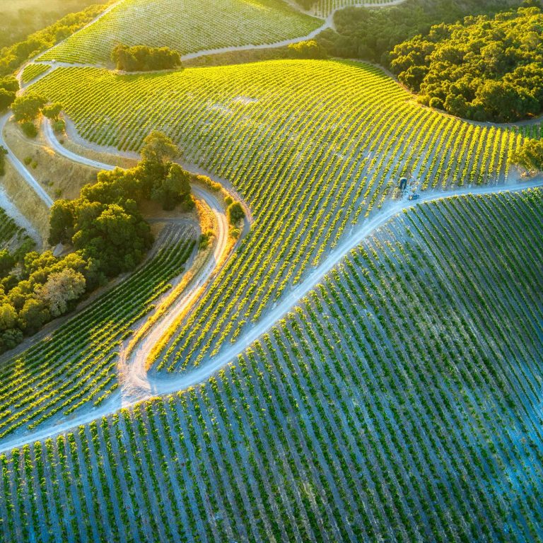 lolaroute-tours-central-coast-06