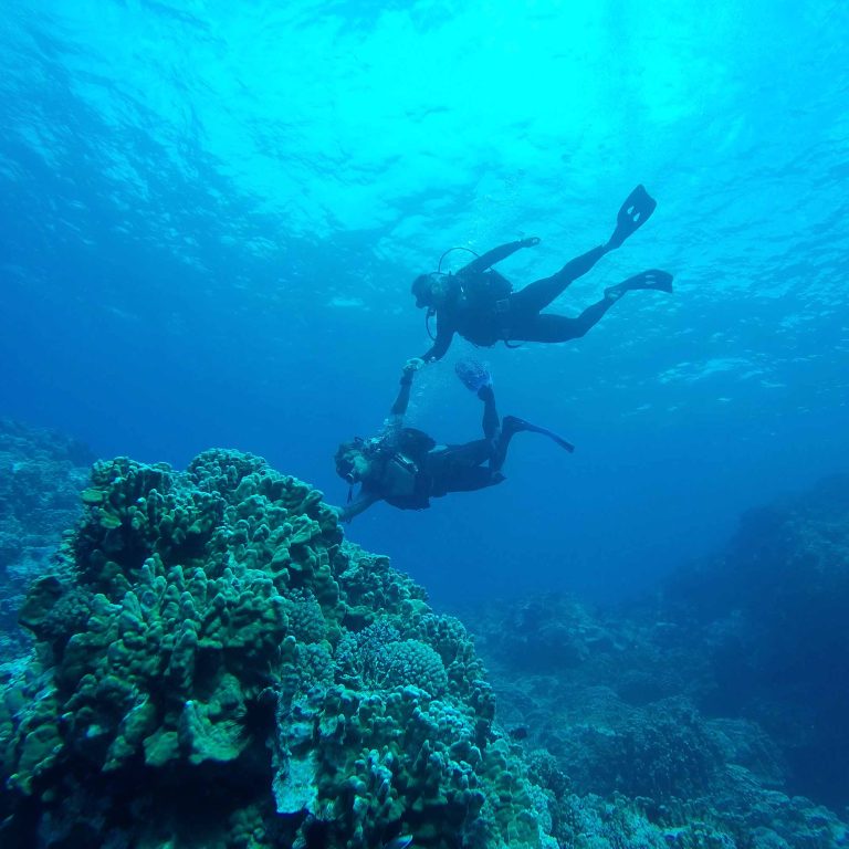 lolaroute-tours-easter-island-08