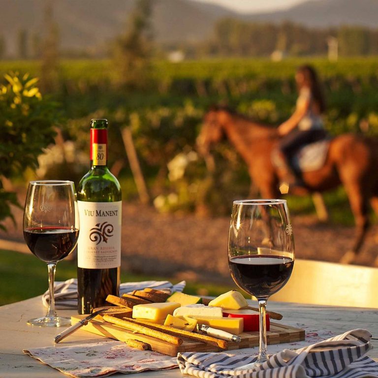 lolaroute-tours-wine-tasting-01