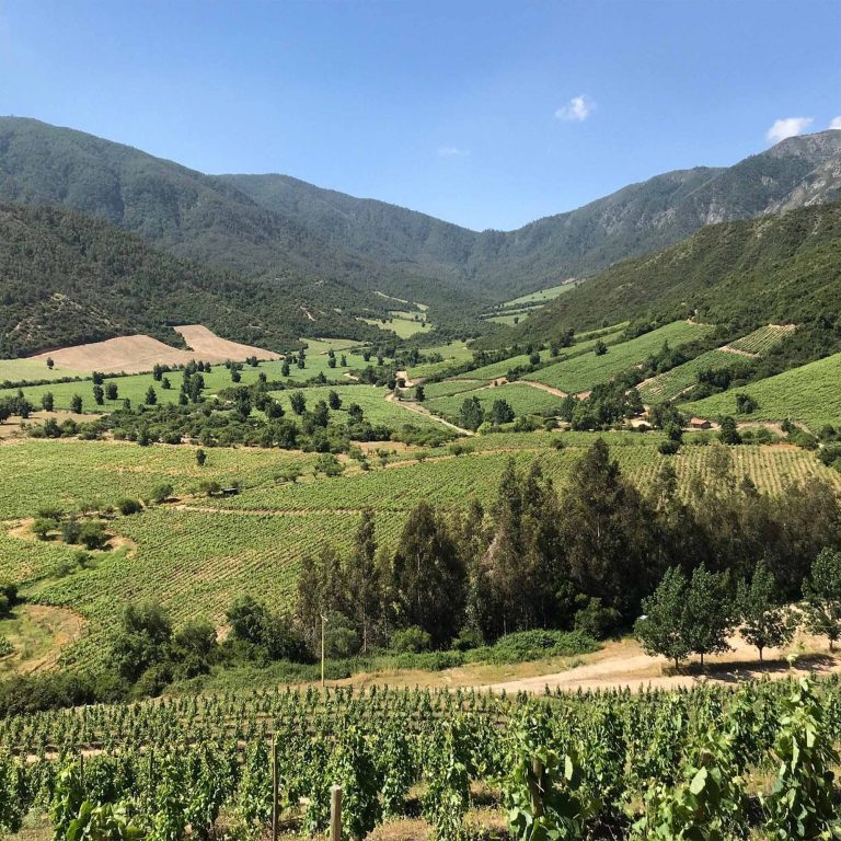 lolaroute-tours-wine-tasting-02