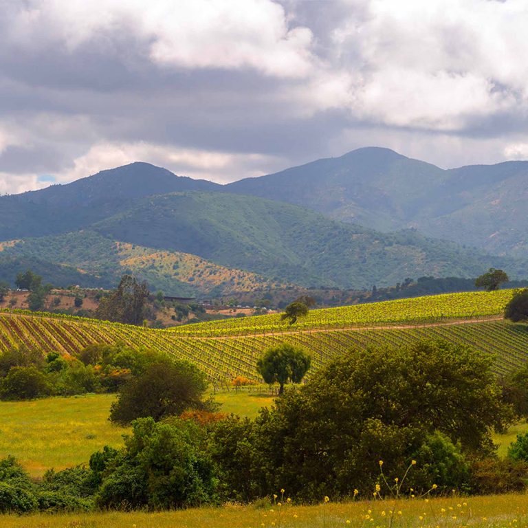 lolaroute-tours-wine-tasting-03