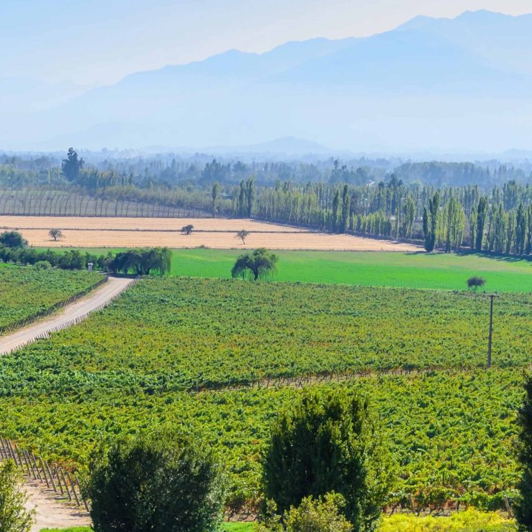 lolaroute-tours-wine-tasting-04