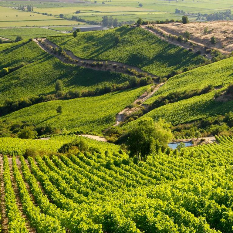 lolaroute-tours-wine-tasting-09