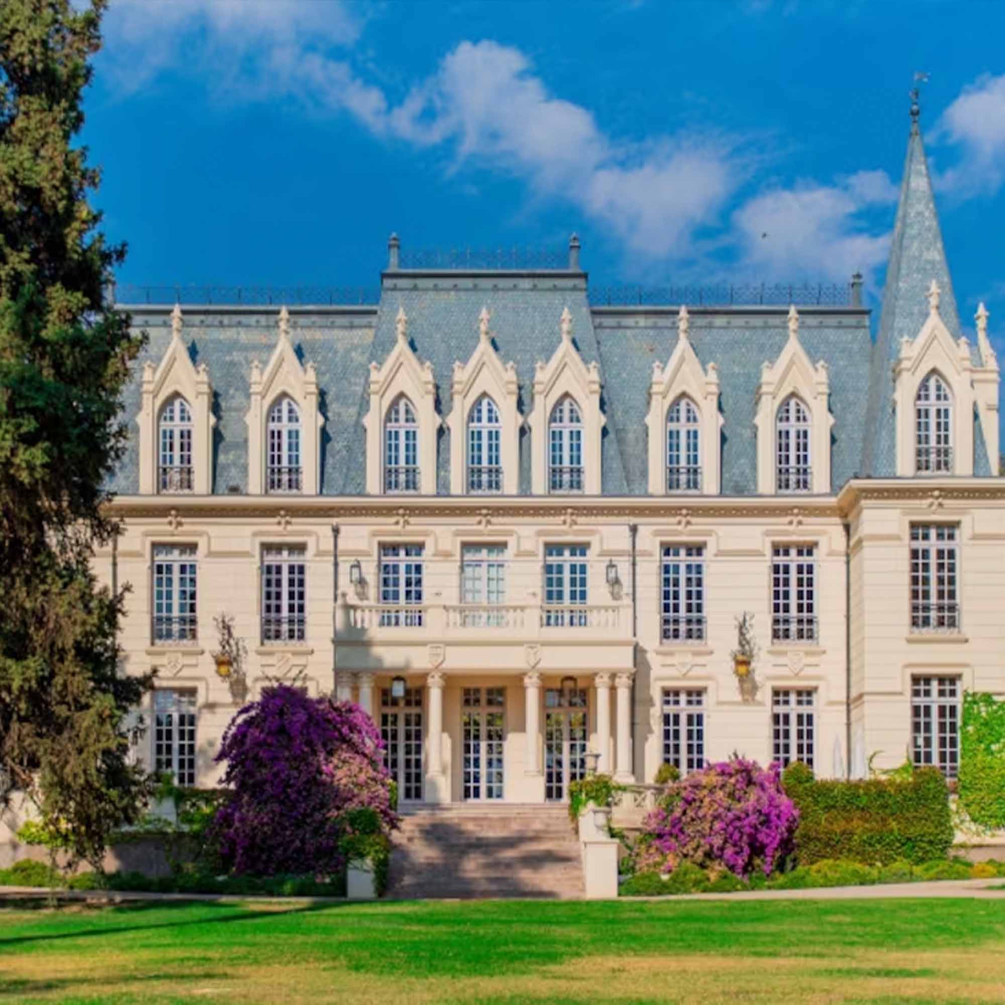 lolaroute-tours-wine-tasting-10